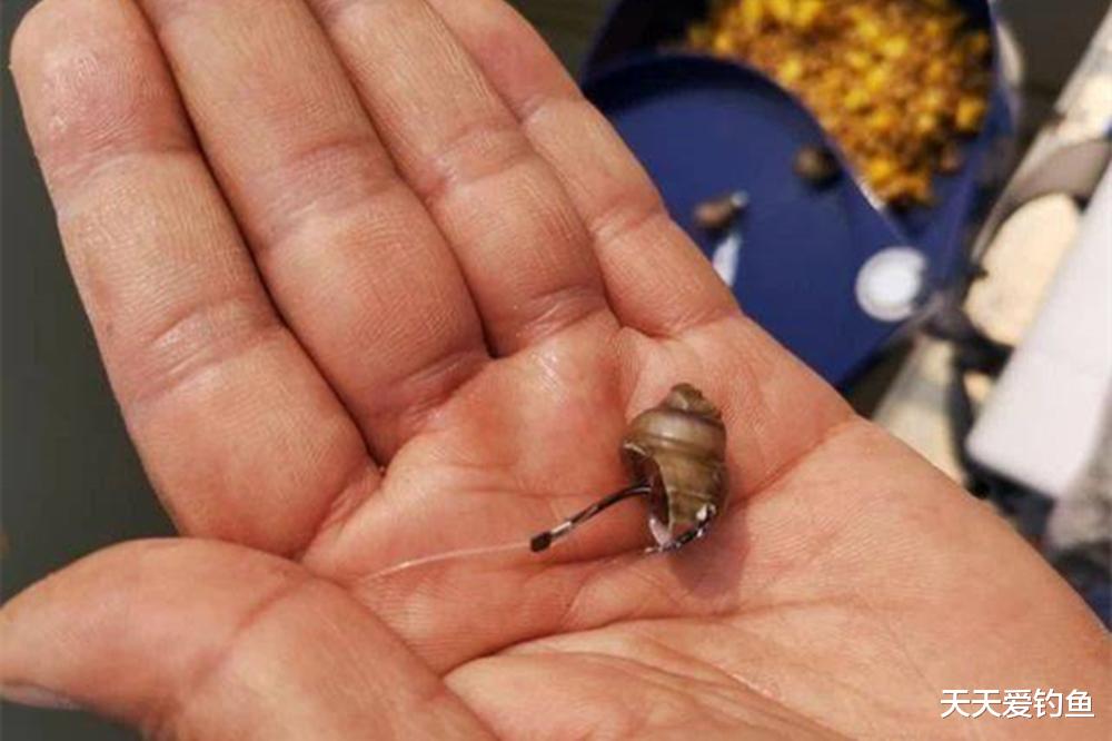 黑坑限竿又限线，用这2种钓法，钓大鱼是“专业级别”