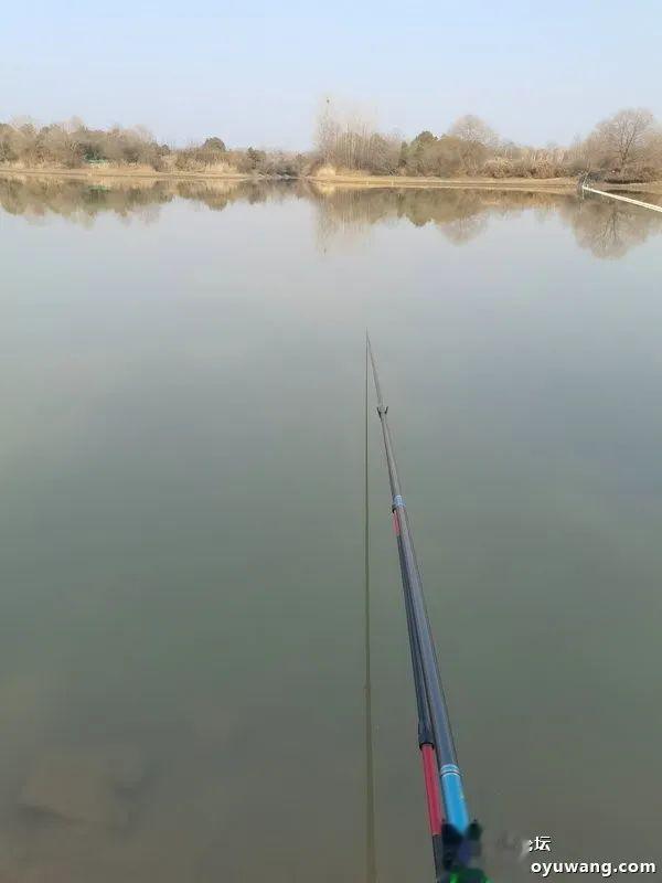 |初五第一钓,青稍连杆上