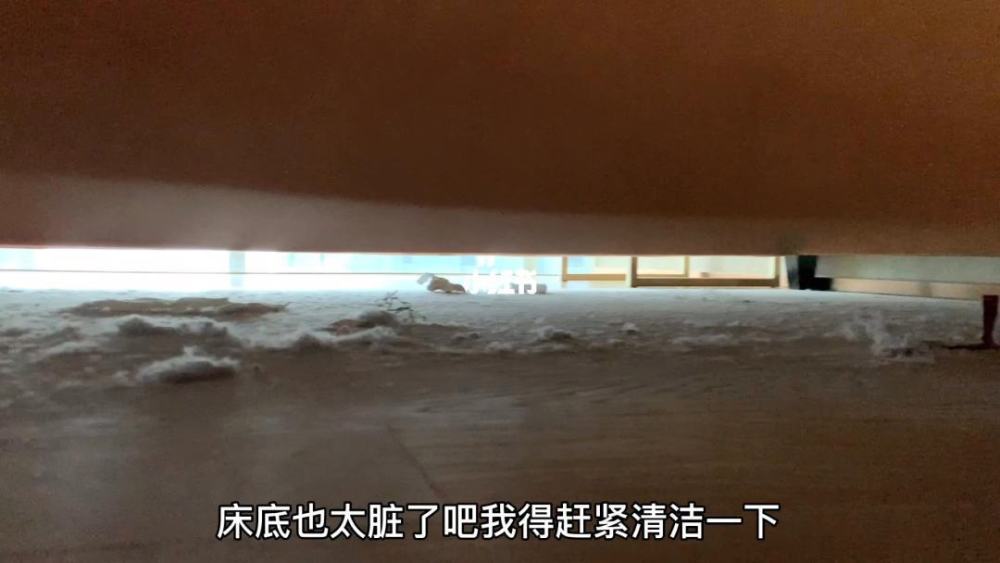 天天扫地,家里“毛絮”还很多?教你正确做法,毛絮自动消失