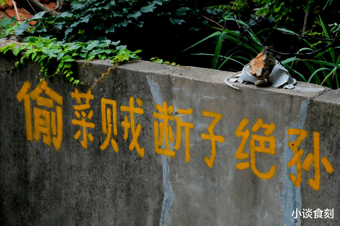 鸡爪|明日七月十五，记住：1不动2不说3不吃，尊重传统，图个平安圆满