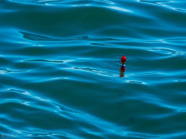 饵料|冰天雪地里穿短袖钓鱼?冬季北方钓大棚全攻略,抢鱼真过瘾!