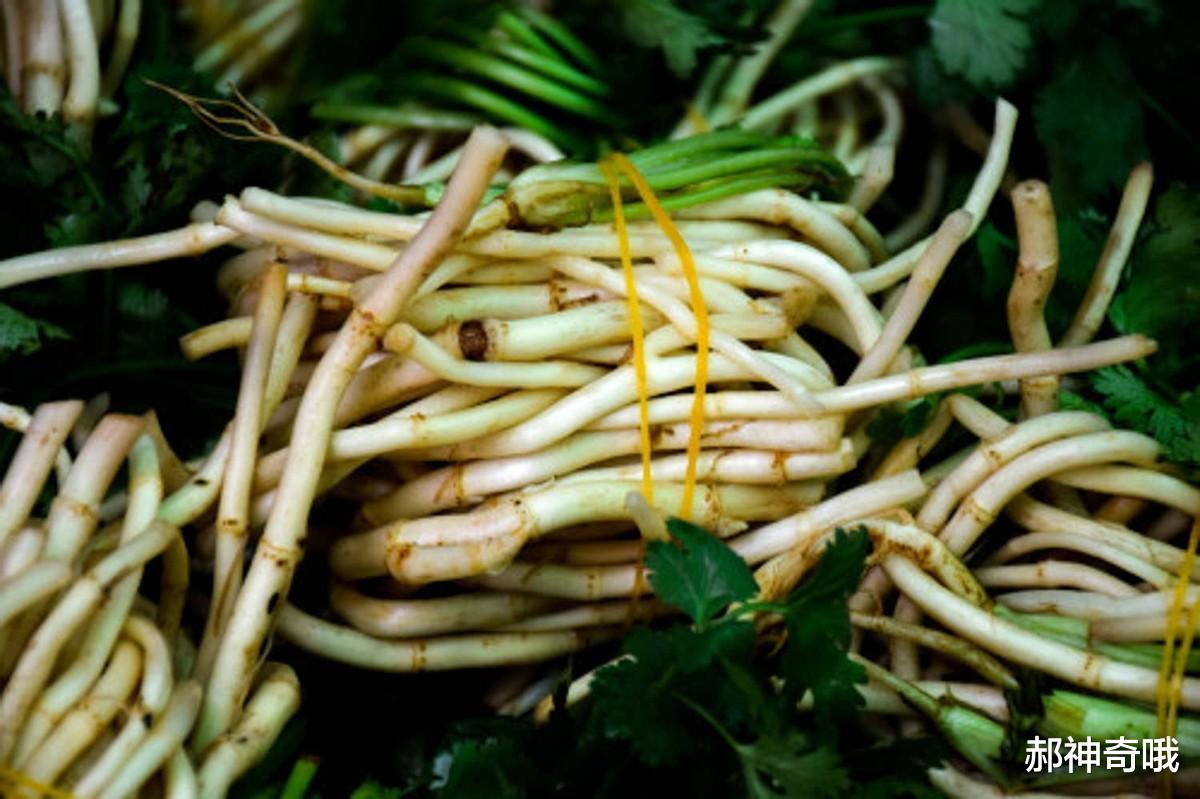 洋葱|中国“最难吃”的6种蔬菜,吃过一半是牛人,全吃过是大神