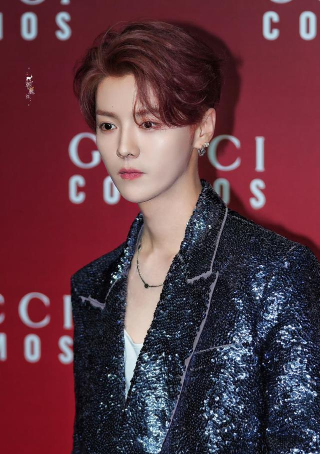 鹿晗演唱会精修诈骗?网曝现场生图差别巨大,粉丝吹重返20岁