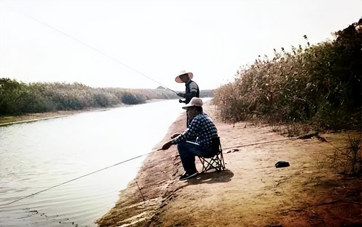 冬季钓鱼的八大真相,老手心知肚明,新手一直蒙在鼓里