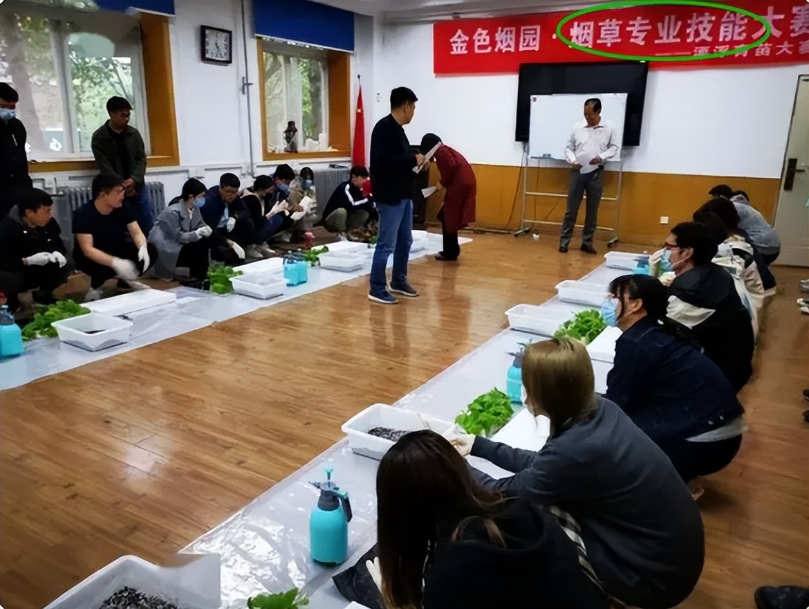 |夫妻晒中国烟草薪资明细,年终奖令人羡慕,网友:我年薪都没这多