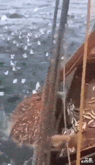 集成电路|“总经理办公室这样设计，要不要加厚隔音墙呢？”哈哈哈哈哈太有才了