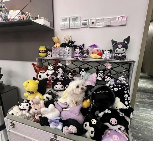 王思聪新女友身份曝光：清纯00后住豪宅同居，疑是私生子生母？