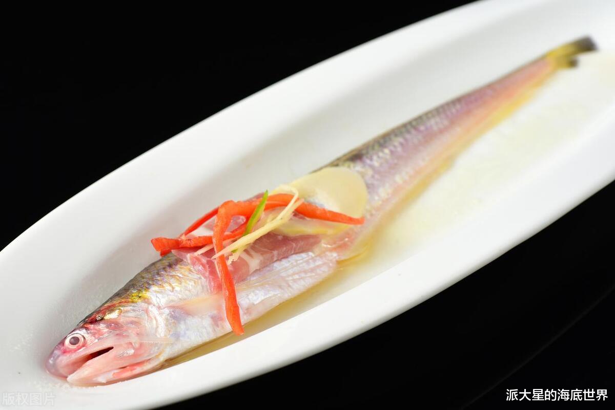 刀鱼|刀鲚:难得一见的刀鲚,有钱也吃不到