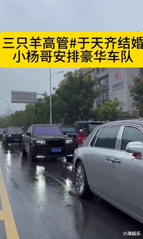 三只羊于天奇大婚,和女友恋爱14年修成正果,小杨哥带众徒弟祝贺