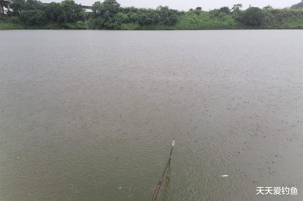 |夏季钓鱼，3个步骤找准鱼窝，在鱼窝里下竿，一钓一个准