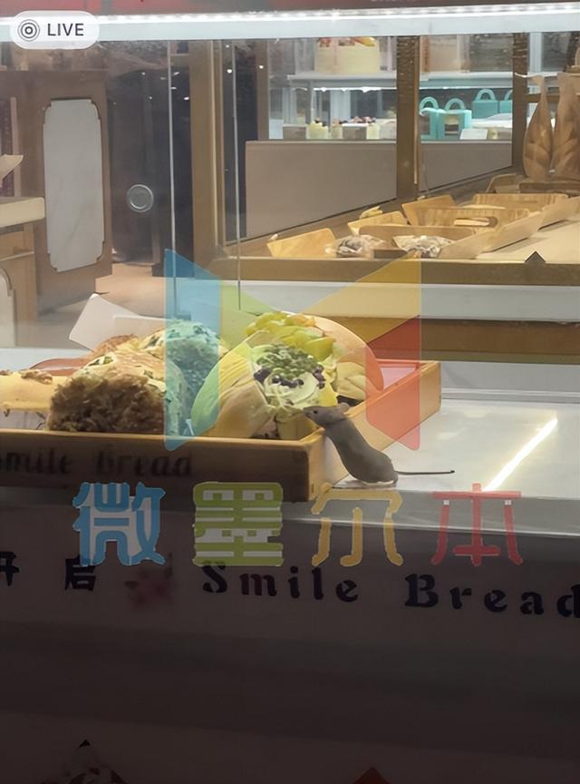 面包|老鼠上柜台, 大口吃面包! 墨尔本CBD华人烘焙店被曝光! 华人看吐了