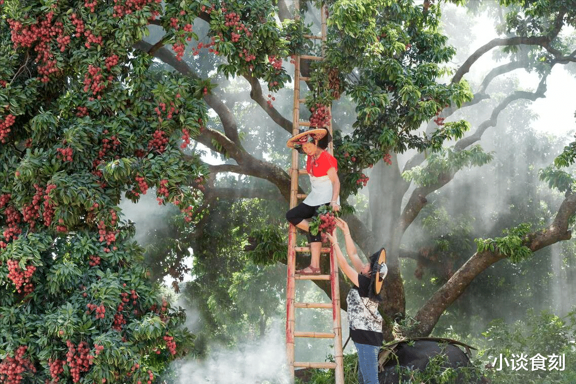 美食教程|“九毒日”到了，“3菜不上桌，福气难进门”，3菜指啥？咋吃受益