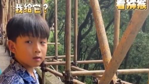 何洁一家五口贵州游玩，腿又粗又黑不像90多斤，仨儿女颜值差距大