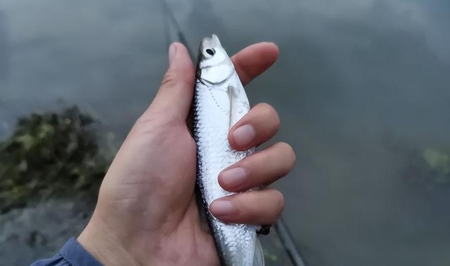 夏季狂拉白条攻略,这些位置包你狂拉过瘾,停不下来!