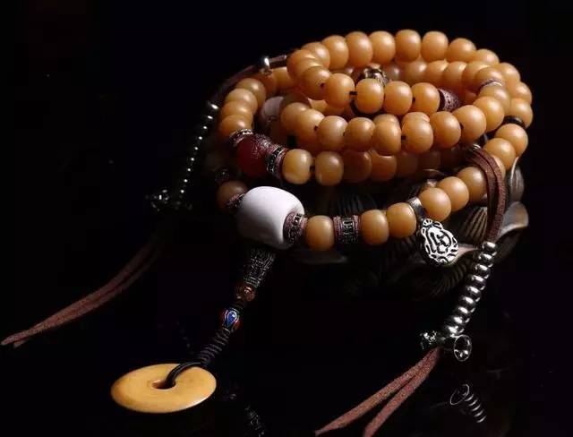 菩提根|聊一聊菩提根