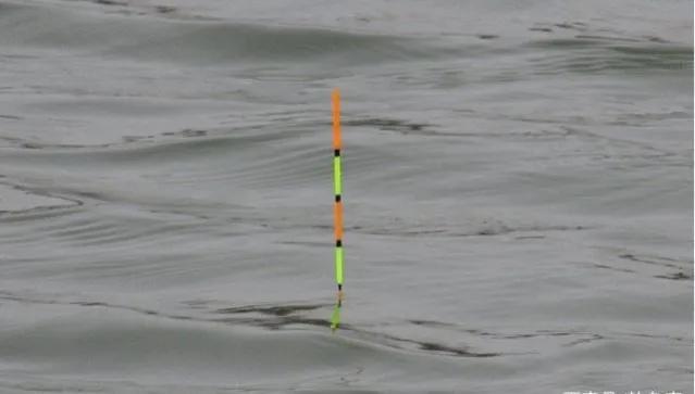 浮漂|铅坠触底和悬坠两种钓法,都很灵,都需抓口,原因醍醐灌顶