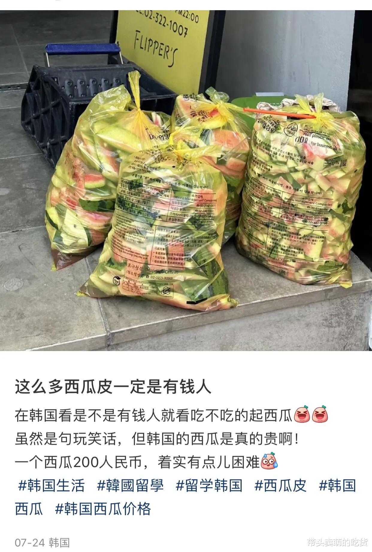 西瓜|农村小伙喂猪吃西瓜引韩国网民愤怒！直言瓜皮能做腌菜，为何浪费