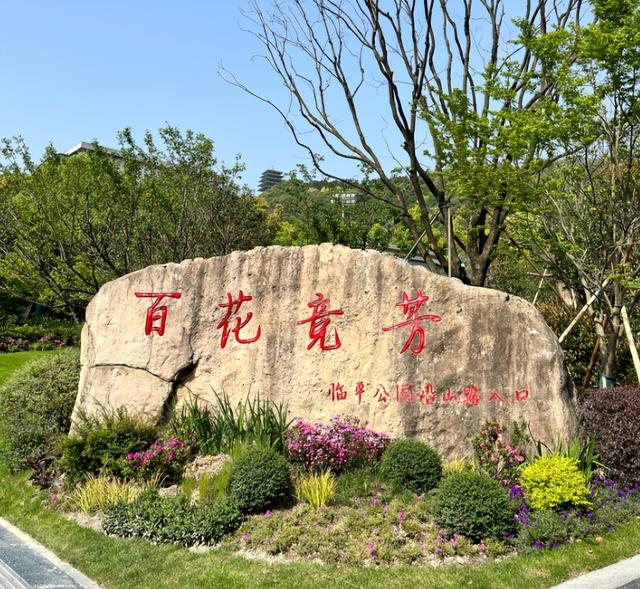 杭州|杭州继马家坞观景台后，又呈现网红打卡地，360度享受杜鹃美景！