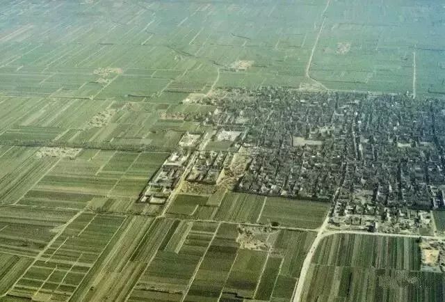 博物馆馆长花64万买14件“假货”，如今成禁止出境展览