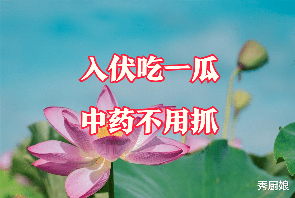 美食教程|“入伏吃一瓜,中药不用抓”,一瓜指啥?清肺热去心烦,别不懂吃