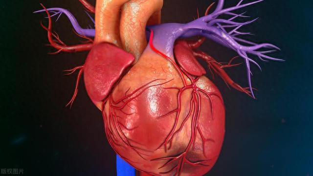 科研揭秘:“地中海饮食”效果惊人,胜过低脂,心血管风险降30%