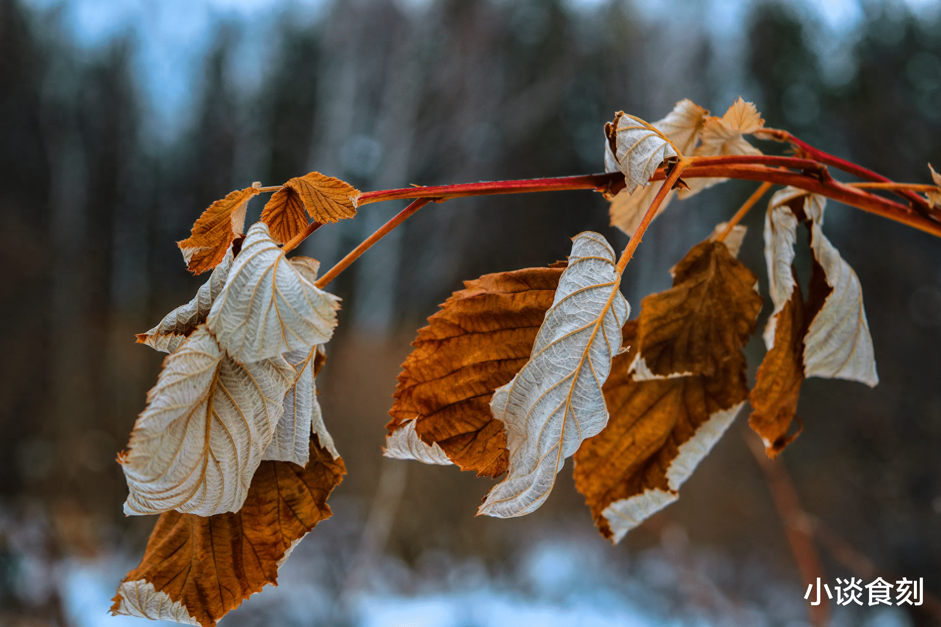 蜂蜜|建议大家：未来3个月，家里尽量囤4样东西，都是过来人留下的经验