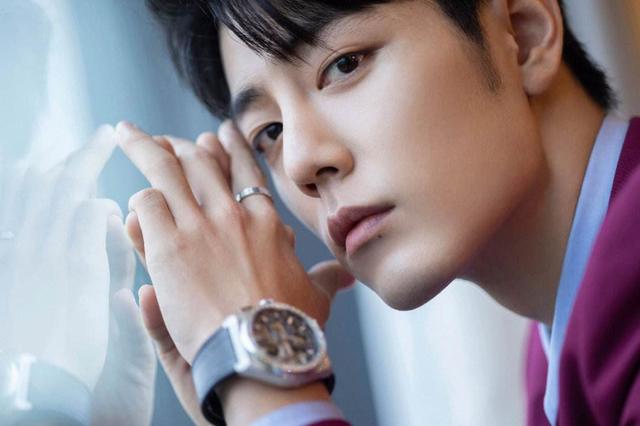 白鹿|张彬彬发展？白鹿资源好？肖战没消息？