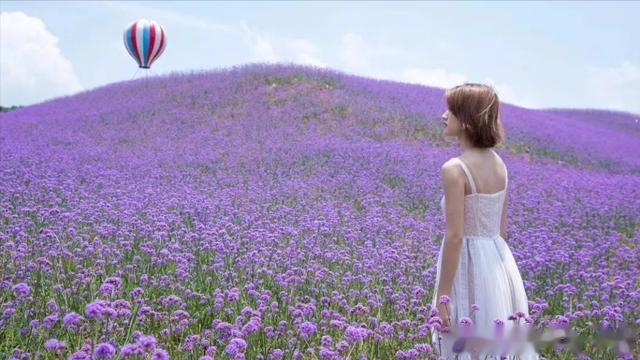 亲情冷暖，丈夫去世，女儿考上大学：她们如何面对家人无耻要求？