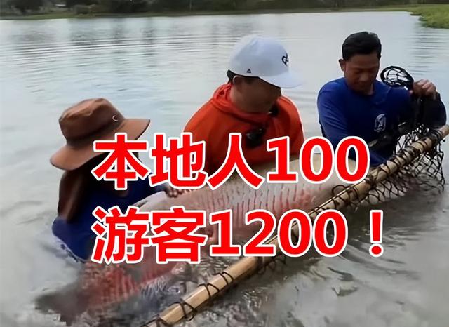 |邓刚回国首播讲泰国游钓,去一次就后悔,各种套路把钓鱼人耍着玩