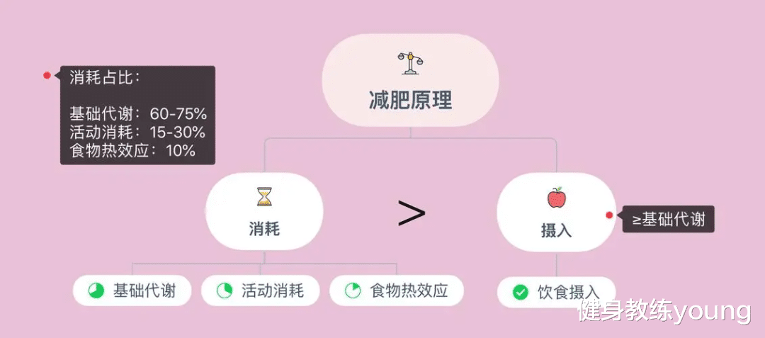如何通过“基础代谢”来帮助减肥？做到6点就可以，让你多瘦10斤