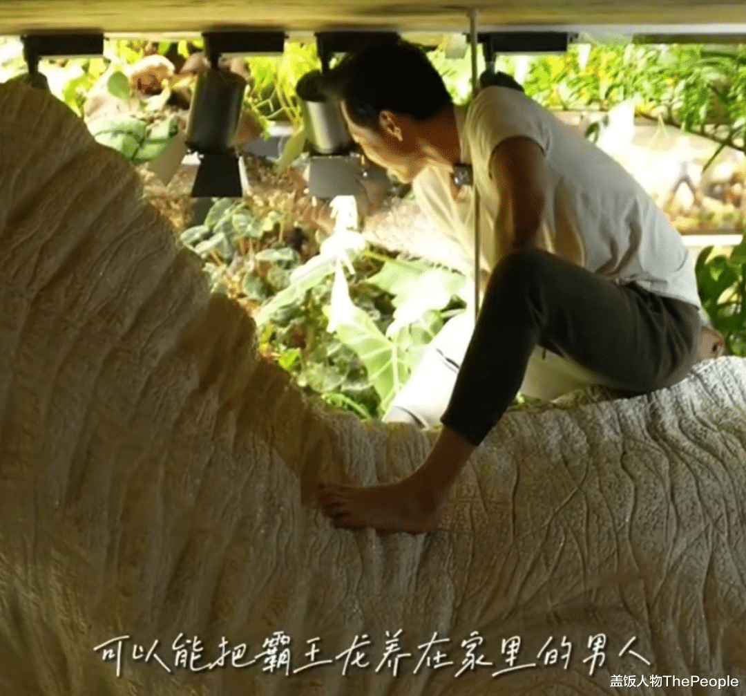 王昱珩|最强大脑水哥豪宅内景曝光,二十年没工作的他,直言赚钱太简单了