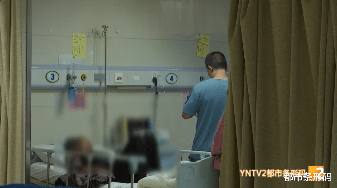 蚊子|?千万别碰!昆明一家10人食用,9人中毒!医生提醒→