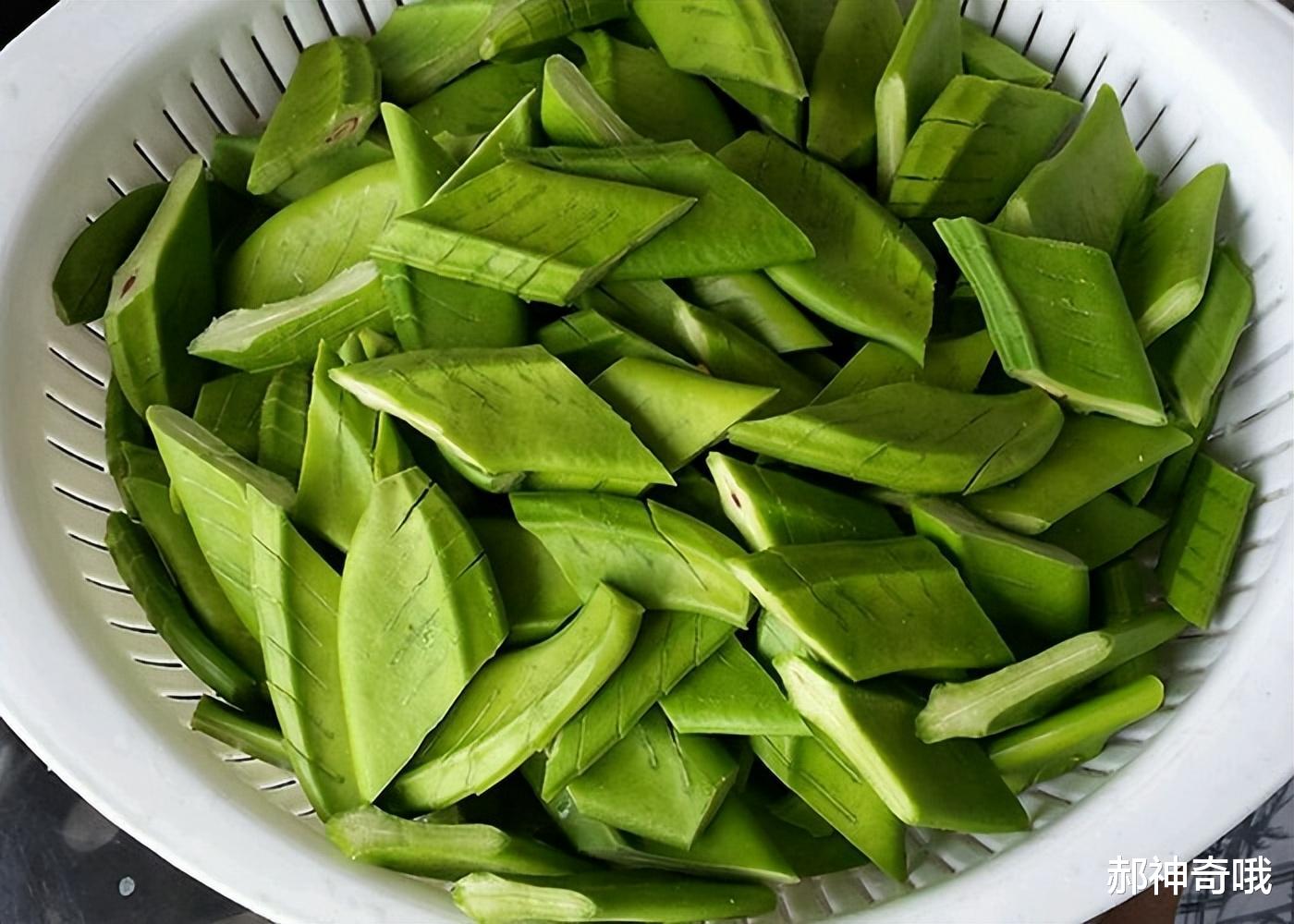 刀豆|明明每株都含有剧毒，农村却常用来做腌菜，如今为何消失不见？