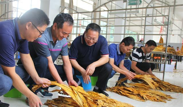 招聘|太卷了，河南某国企发布招聘公告，本科生只能做操作员