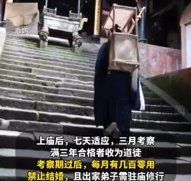 大学生|过了35岁出家都不要?四川青城山道观招聘,门槛处处都是“亮点”