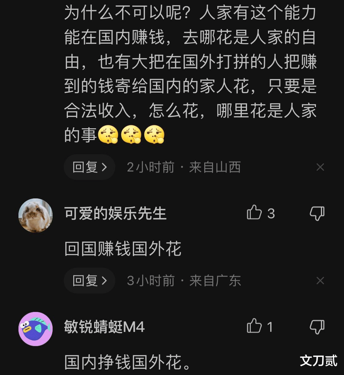 田震|56岁田震结束内地工作，回墨尔本开启悠哉模式，网友：国内挣钱国外花