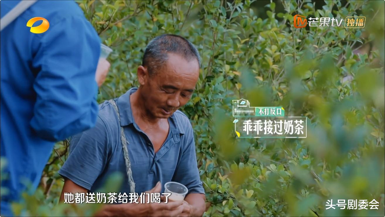 湖南卫视|连续6周收视第一,抛弃流量的湖南卫视,凭什么被央媒点赞?