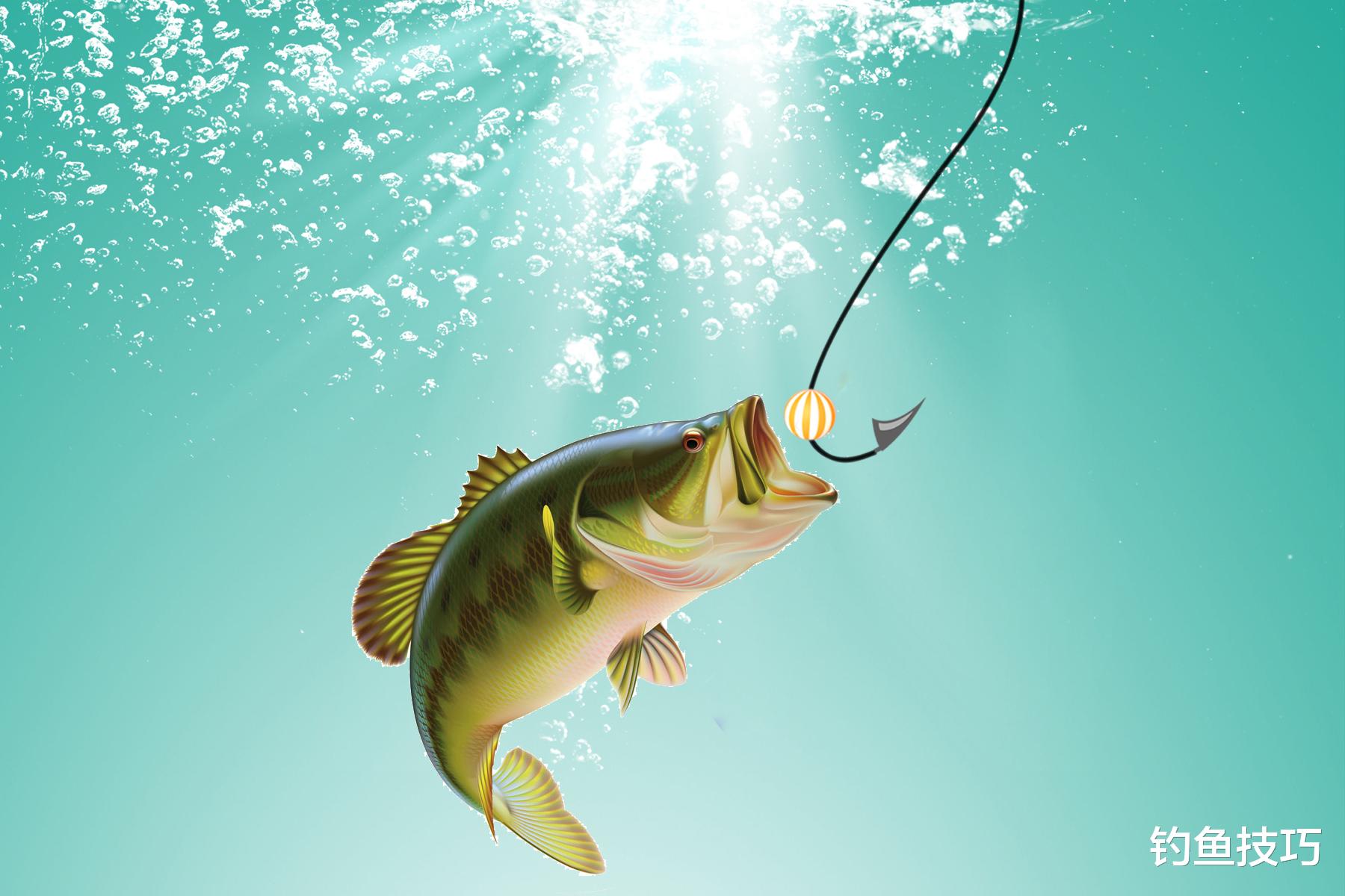 |黑坑鱼缺氧的主要原因,导致黑坑鱼不开口元凶