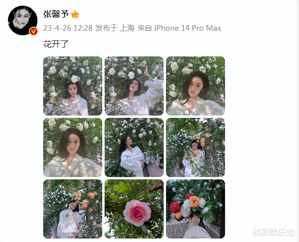 张馨予|张馨予在自家花园拍照，老公视角下穿睡袍出镜，完美演绎人比花娇