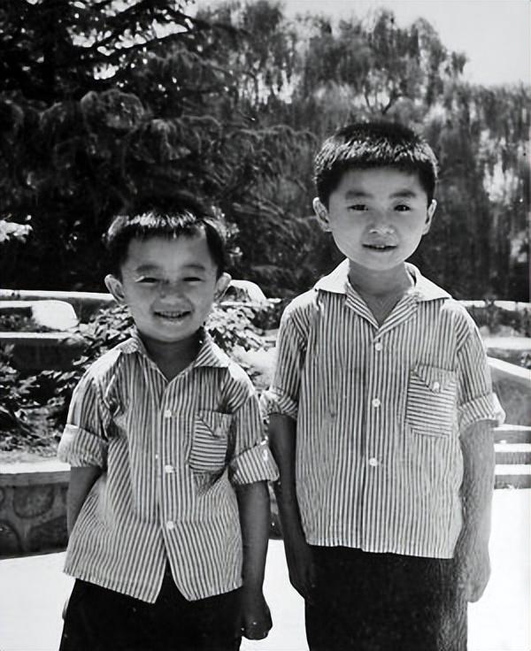 明星夫妻|“消失”的孟非，已经走上了另一条大道