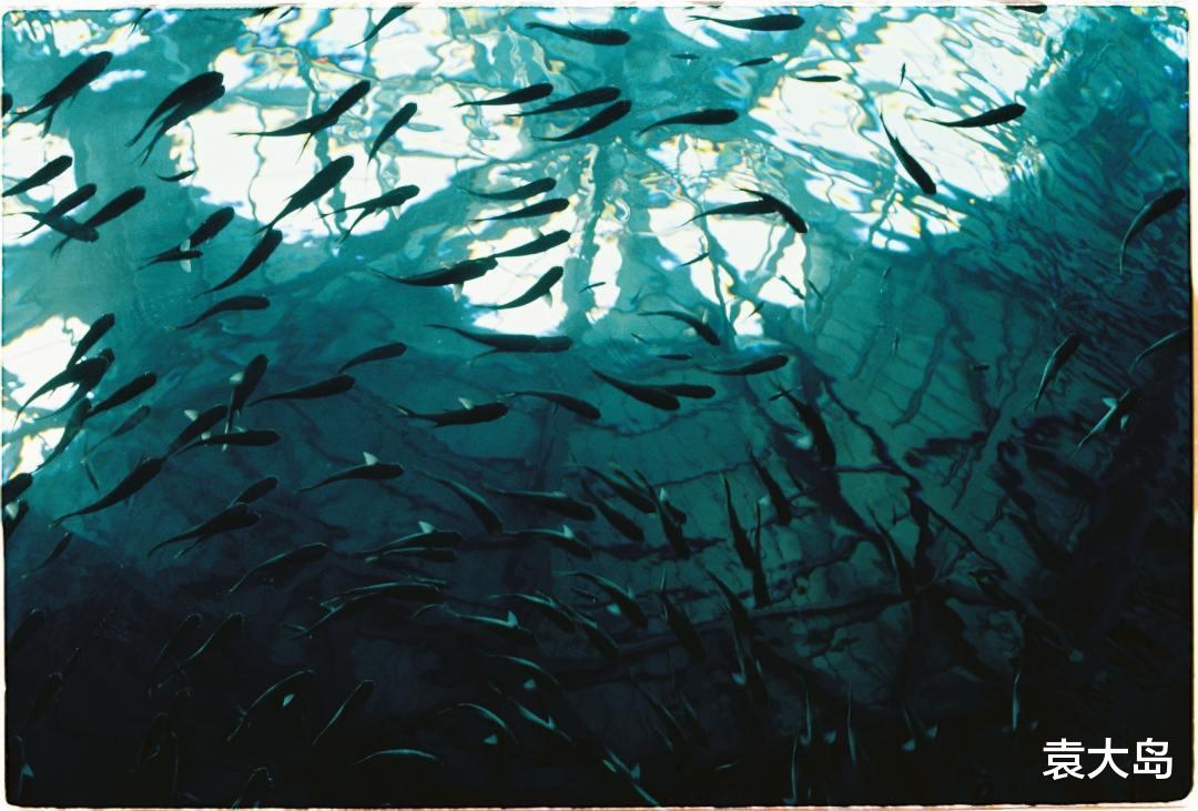 大学|给你绝望的人,逼着你相信希望