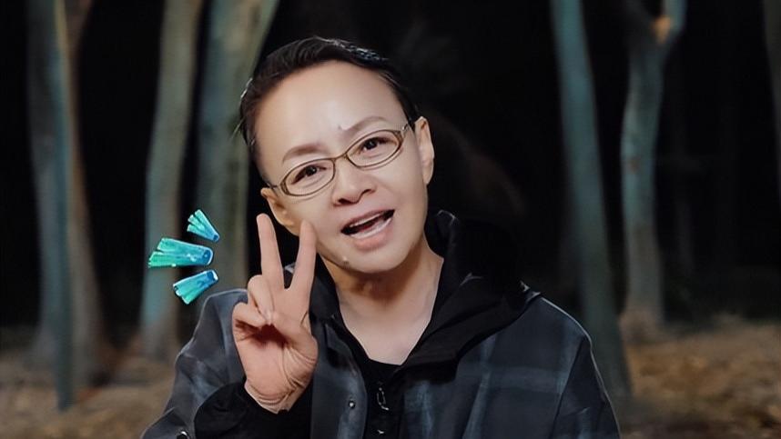 国家宝藏|宋丹丹的傲，陈赫的悔，沙溢的直，让《向往的生活》未播先火！