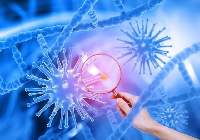 癌细胞或“讨厌”6种碱性食物，别舍不得吃，为健康助力