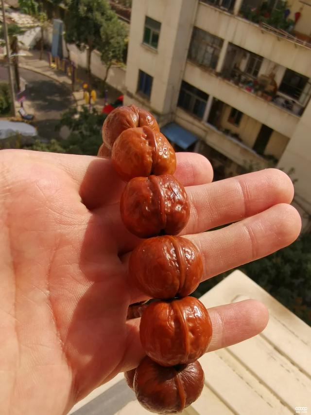 核桃|手串能不能下水洗？他这样玩了9年，没有盘不红的串儿
