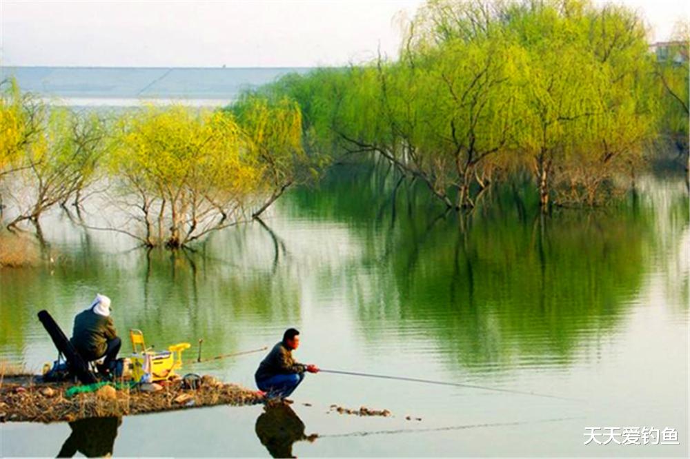 春分|春季野钓“时刻表”，什么时候鱼情最好，查一查就知道