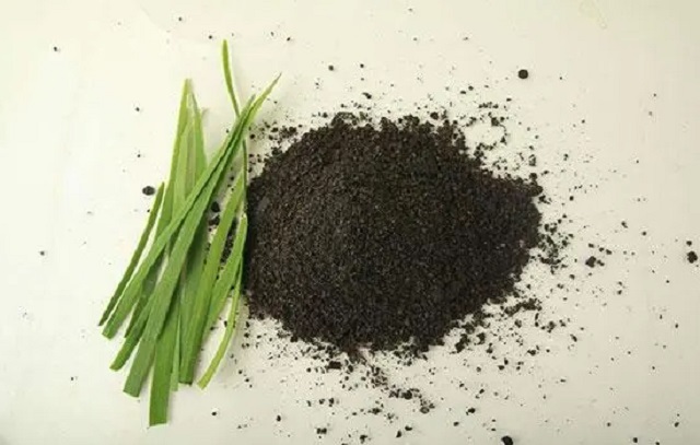 冬天来了，四种食物被称为“阳气之泉”，适合男人们常吃