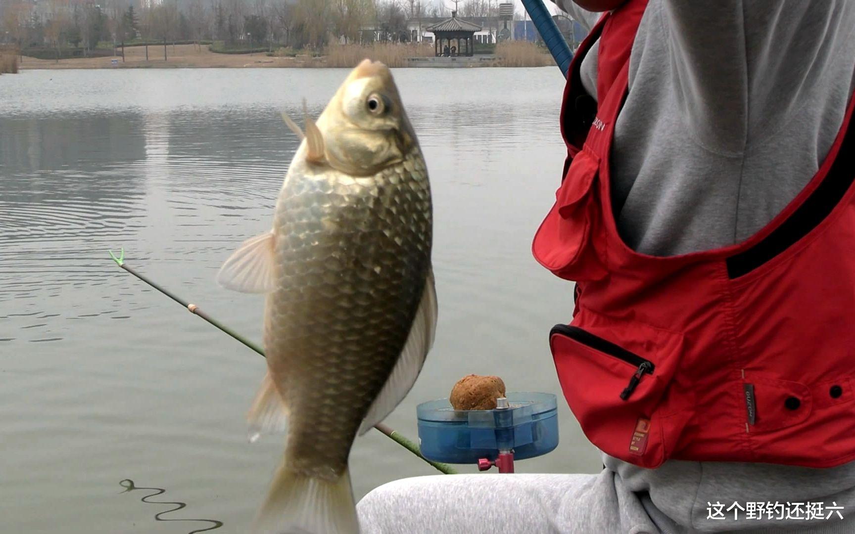 |什么是坎位？春钓浅滩难把握？钓坎可感受暴躁鱼情，下竿就有口！