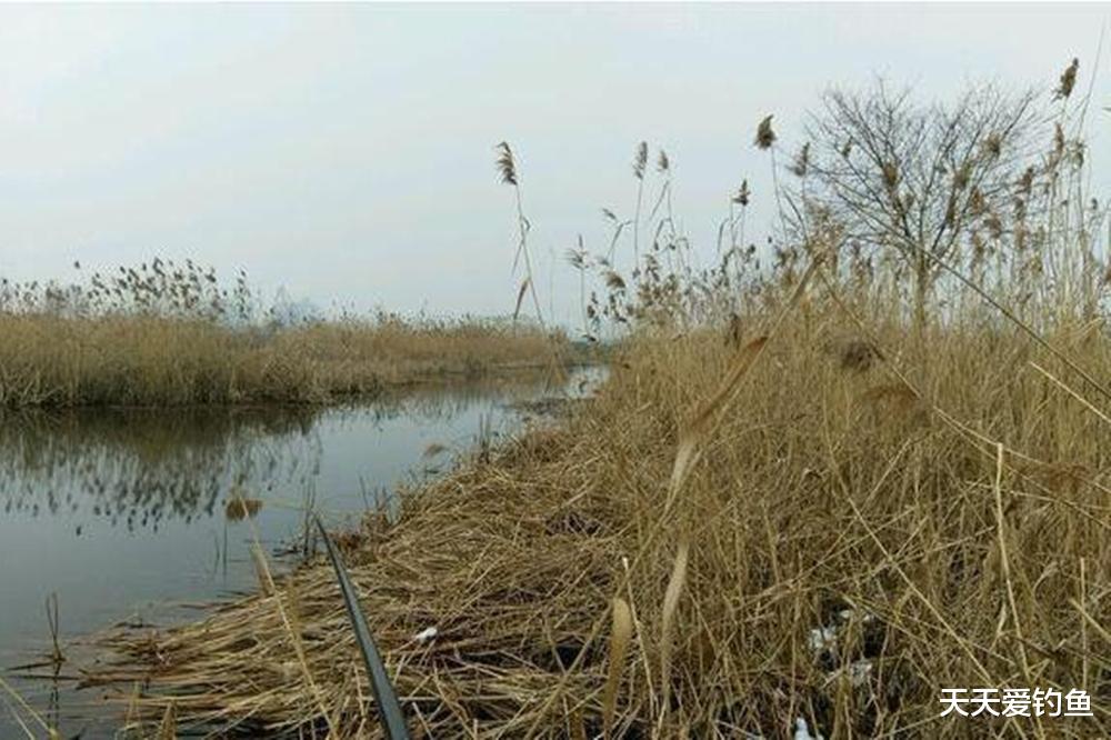 冬季野钓老扑空?可能不是因为气温低,是你够不到鱼窝