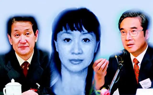 |“倒姐”李薇：是多名高官的共同情妇，靠美色45天净赚2亿