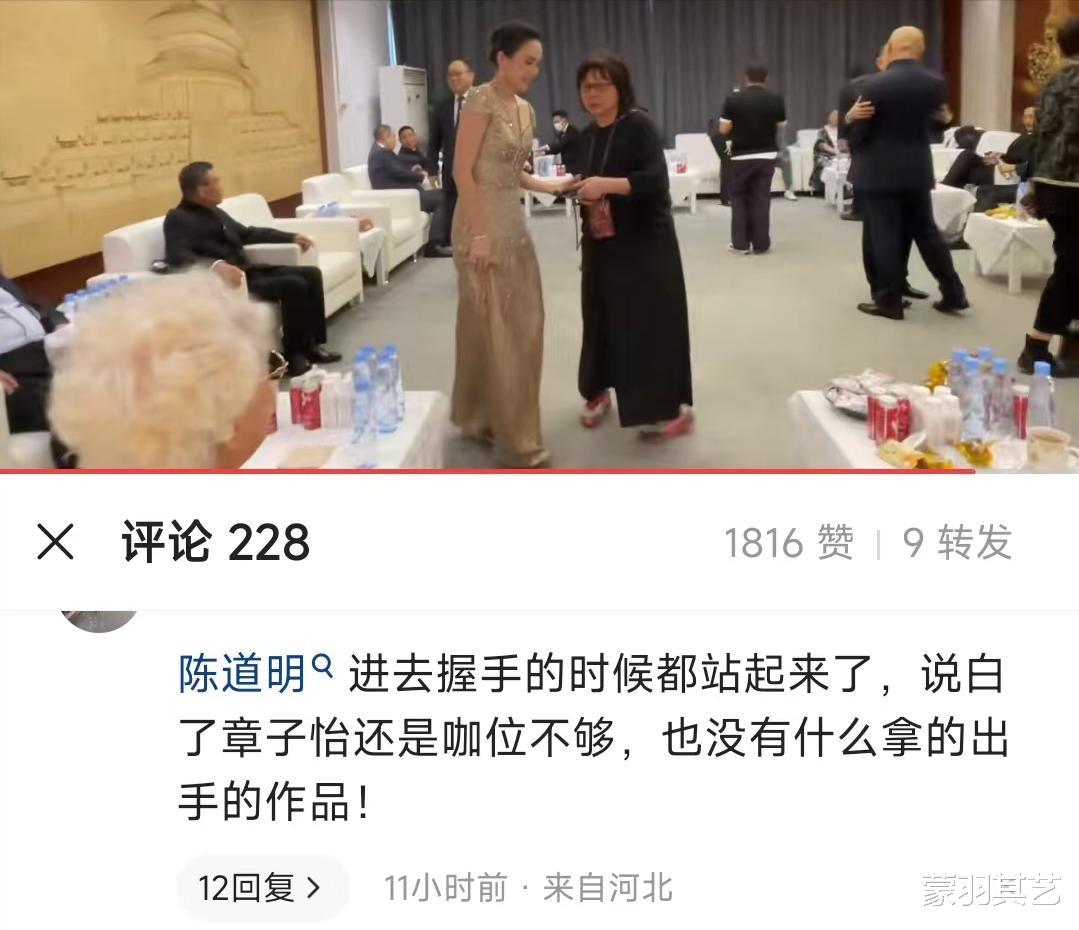 |华表奖另一面：陈道明霸气握手，章子怡屈膝握手，背后的级别差